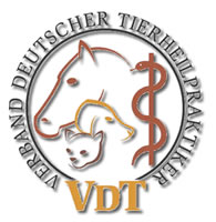 VDT Logo